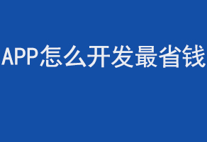 APP怎么開發(fā)省錢？